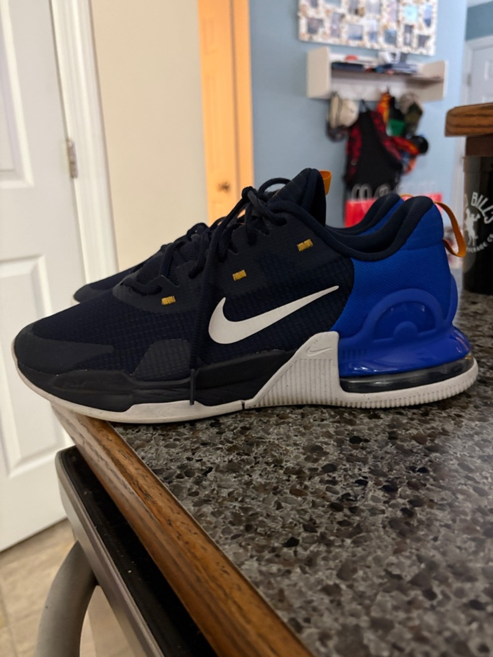 Nike Air Max Men's Sneakers
